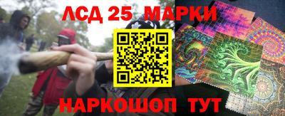 ешки Волгодонск