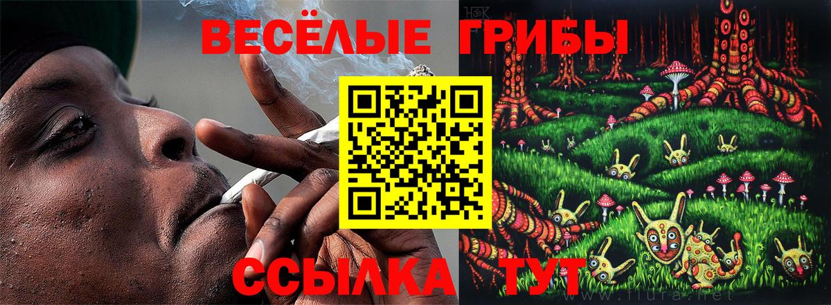 Галлюциногенные грибы Psilocybe  Галлюциногенные грибы Cubensis  Сосновый Бор  Вход с VPN 