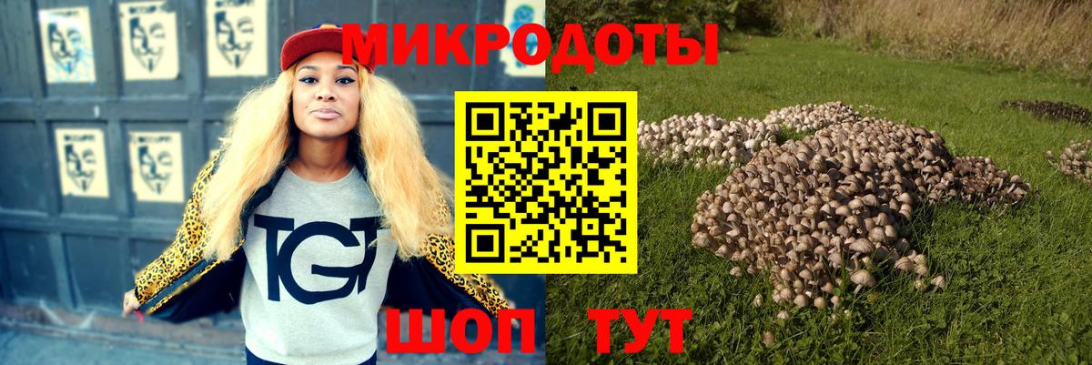 Галлюциногенные грибы ЛСД Сосновый Бор